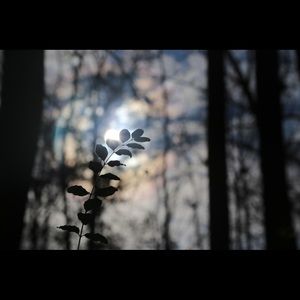 Meet your Posher, Thao